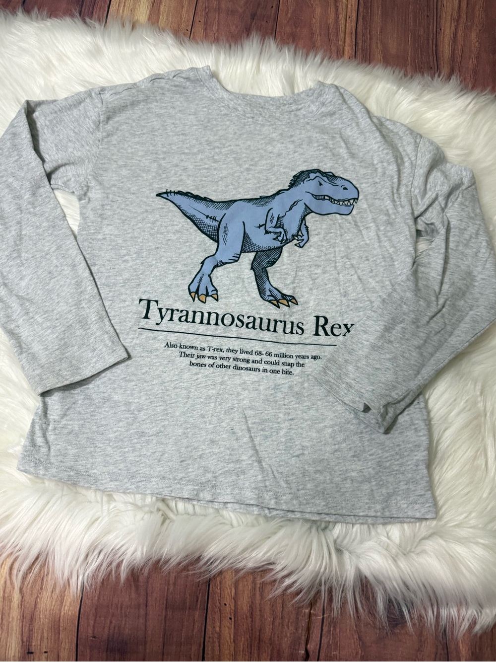 H&M Tyrannosaurus Rex Long Sleeve Graphic T-Shirt - Boys Size 8/10